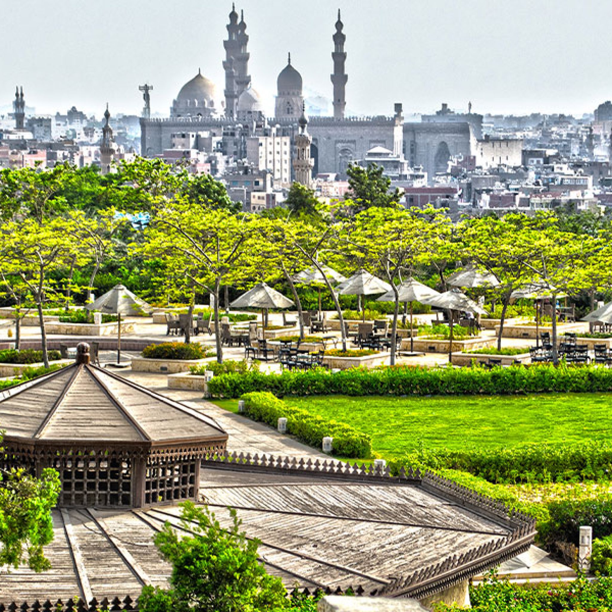 Blooming Wonders of Egypt: 7 Enchanting Spring Floral Havens - FLAIR ...